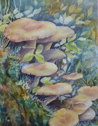 A Side of Mushrooms